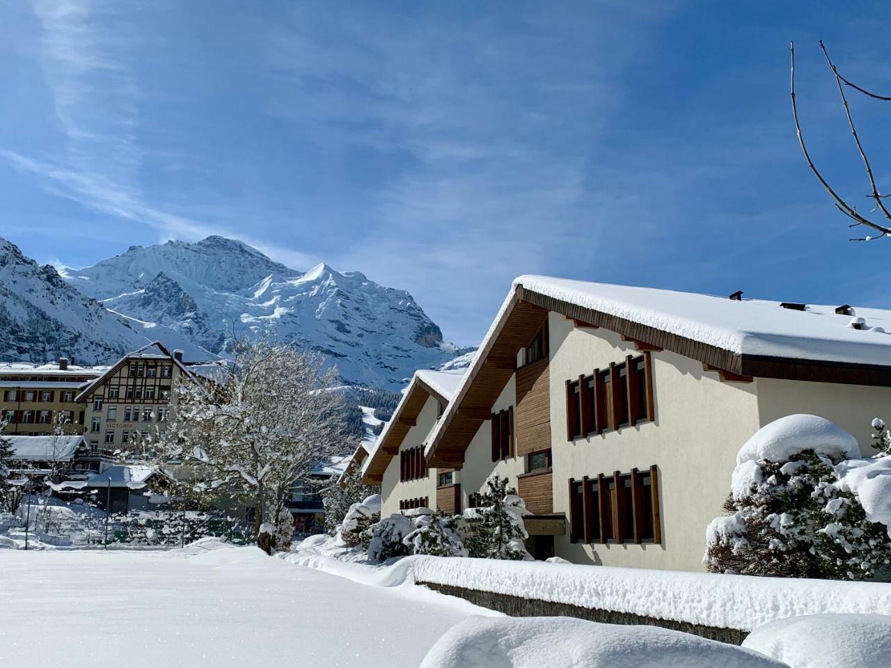 Chalet Primula Penthouse Wengen Exterior foto